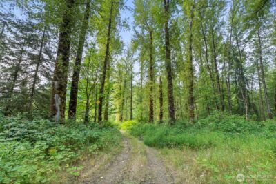 841 W Main , Morton, WA 98356 - Photo 5