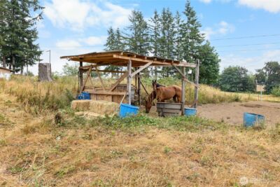 23831 384th Street SE, Enumclaw, WA 98022 - Photo 15