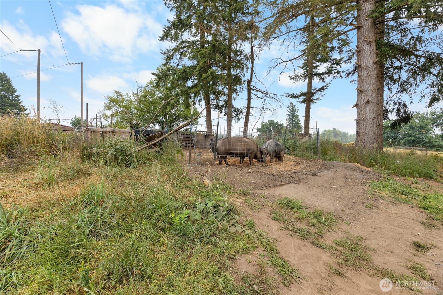 23831 384th Street SE, Enumclaw, WA 98022