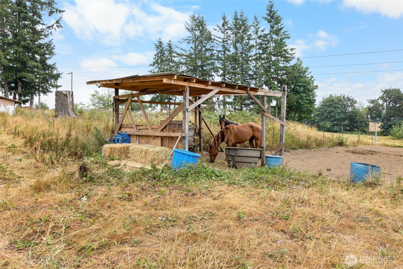 23831 384th Street SE, Enumclaw, WA 98022