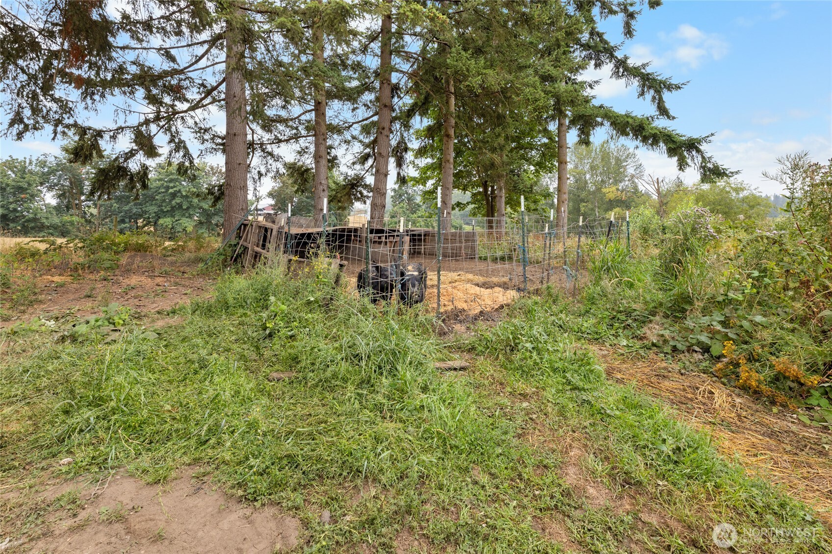 23831 384th Street SE, Enumclaw, WA 98022