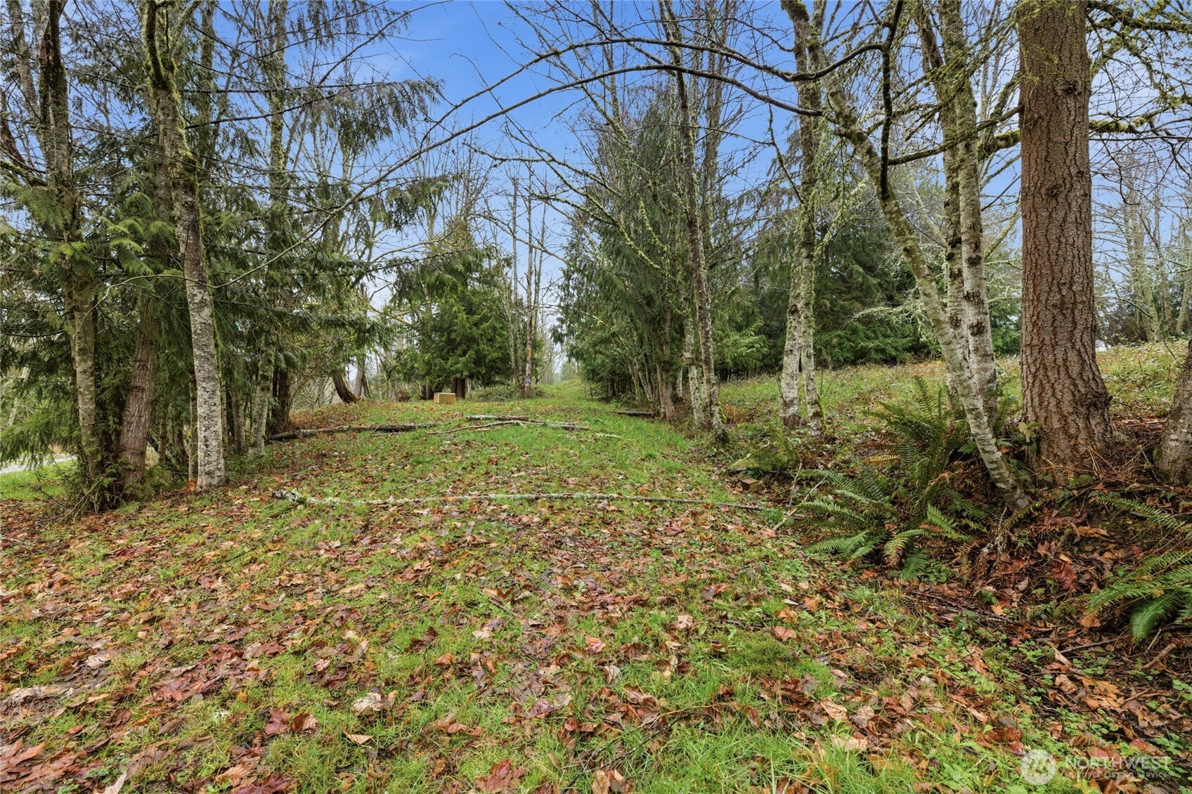 0 Wesner Street , Buckley, WA 98321