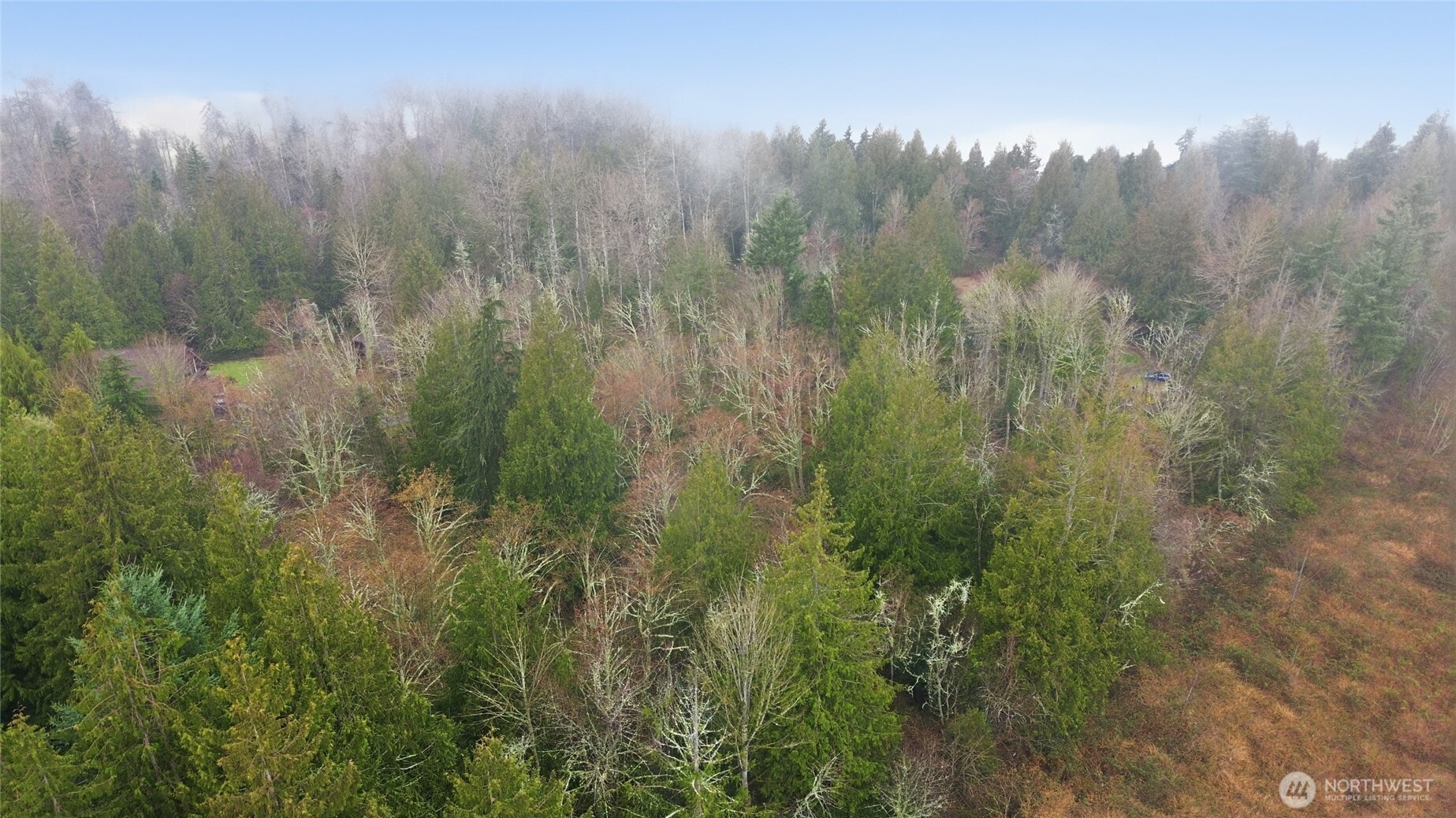 0 Wesner Street , Buckley, WA 98321