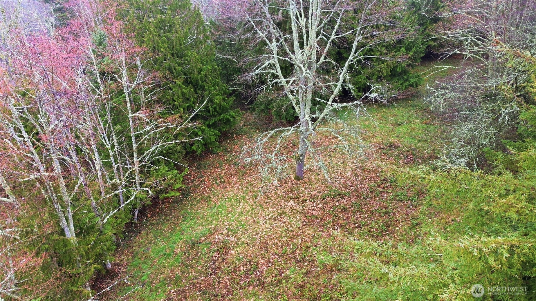 0 Wesner Street , Buckley, WA 98321