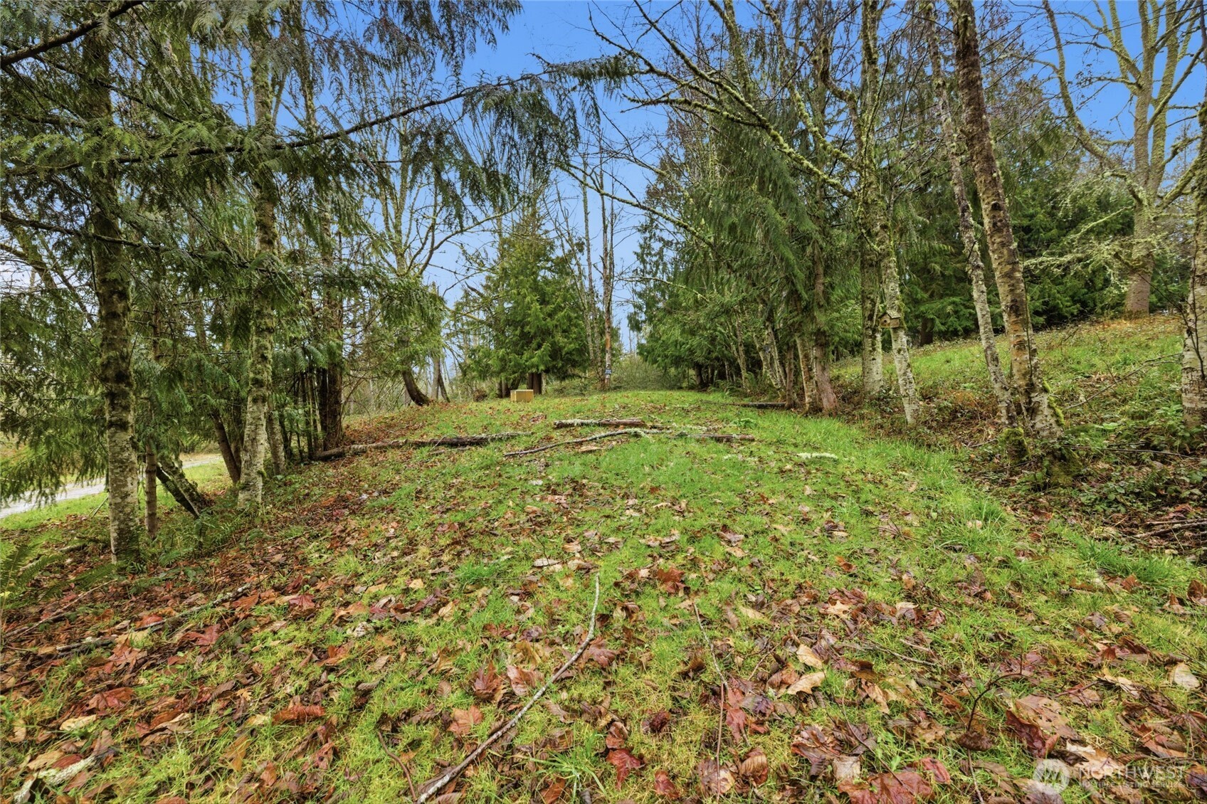 0 Wesner Street , Buckley, WA 98321