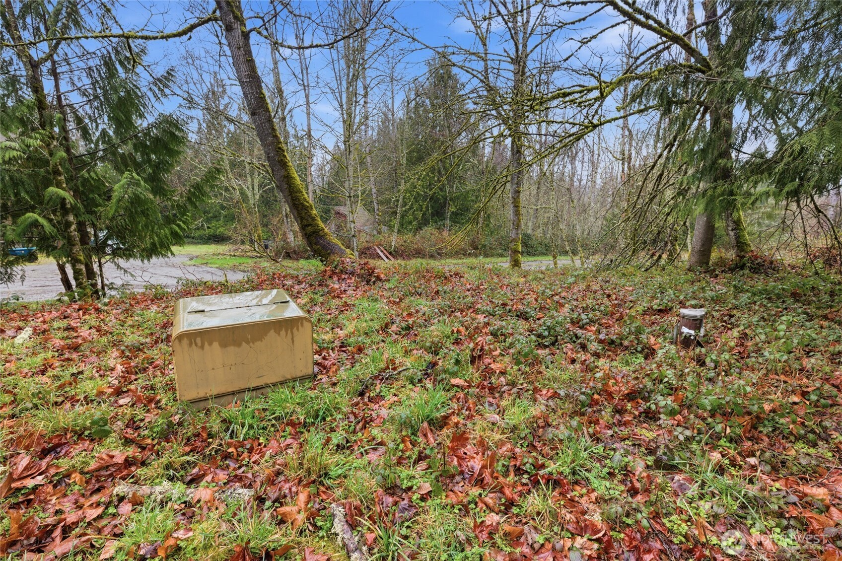 0 Wesner Street , Buckley, WA 98321