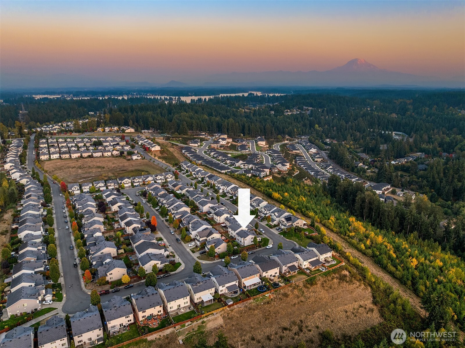 16009 24th Street E, Lake Tapps, WA 98391