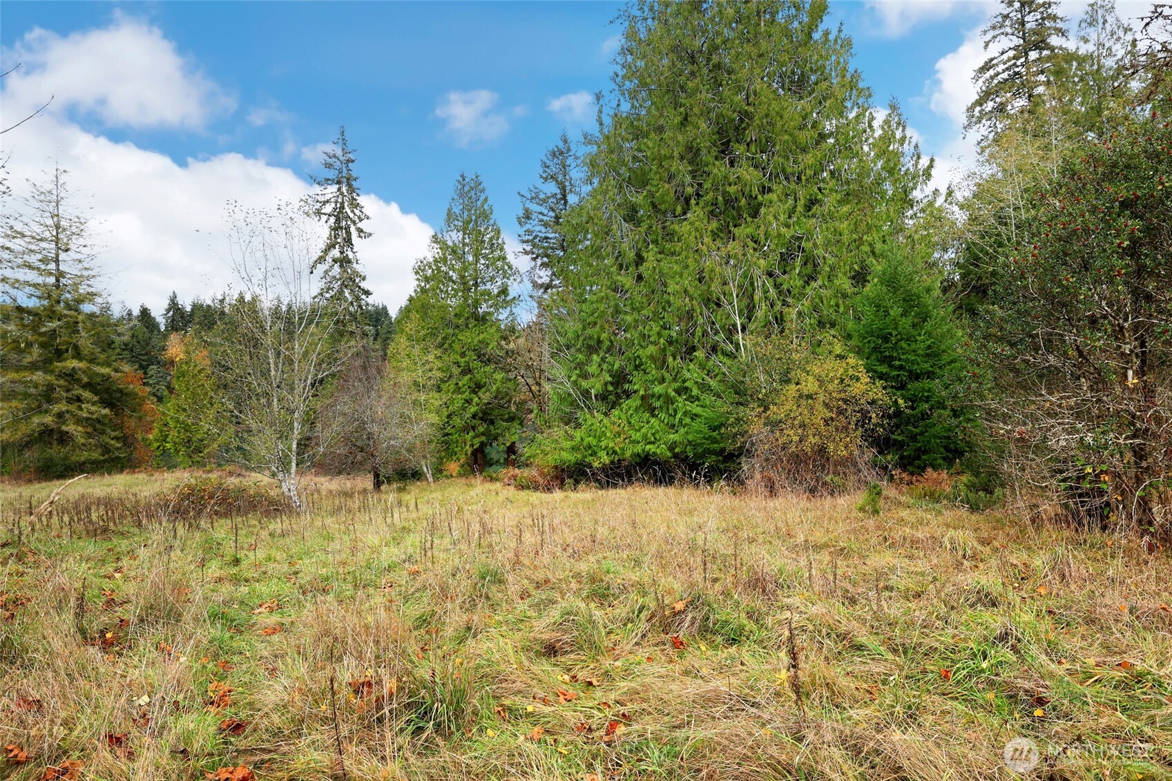 3093 SE Kamilche Point Road , Shelton, WA 98584