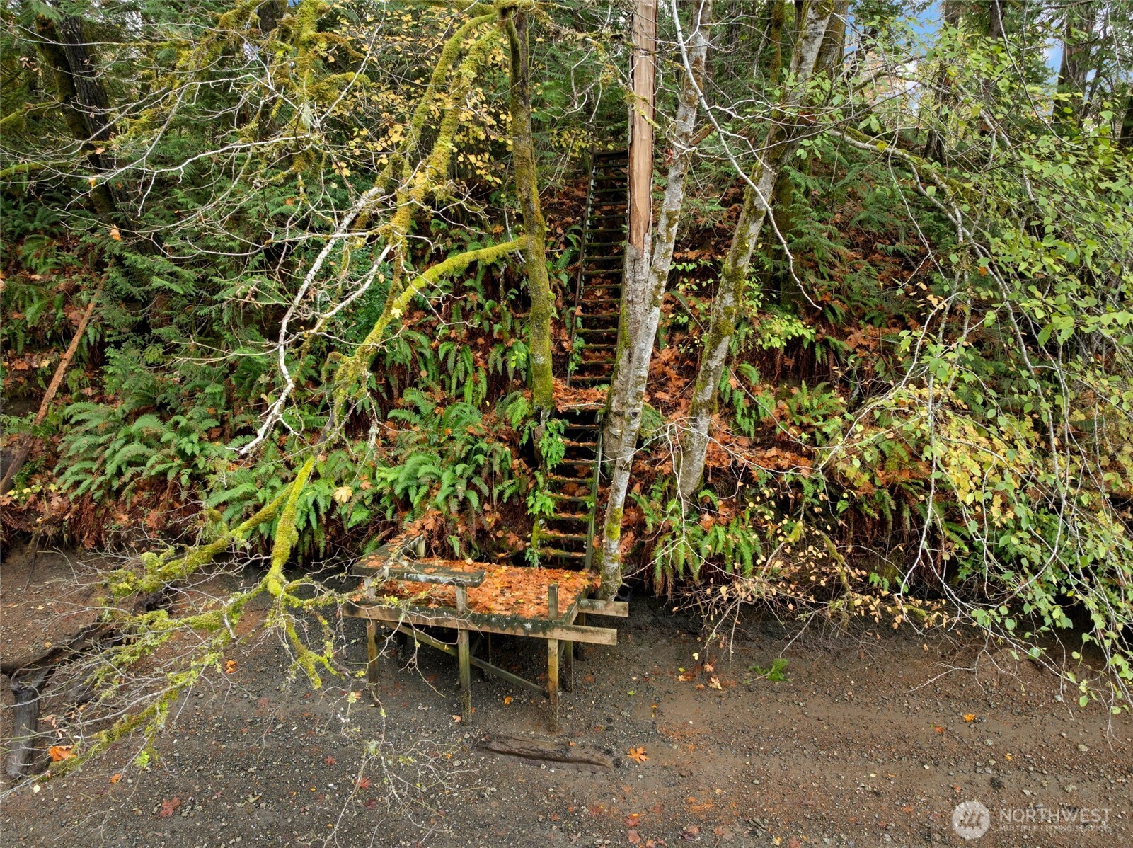 3093 SE Kamilche Point Road , Shelton, WA 98584