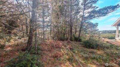 35512 J Place , Ocean Park, WA 98640 - Photo 3