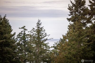 382 Discovery View Drive , Sequim, WA 98382 - Photo 4