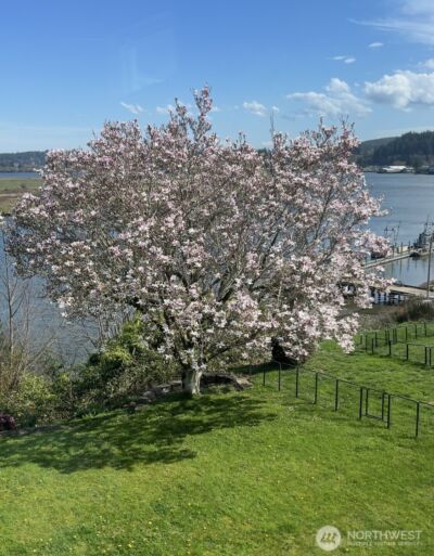 1510 W Water Street , South Bend, WA 98586 - Photo 5