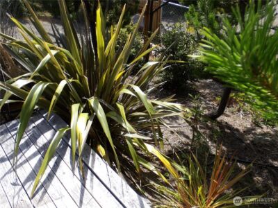 34910 I Street , Ocean Park, WA 98640 - Photo 34