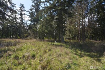 999 W Silberhorn , Sequim, WA 98382-7210 - Photo 15