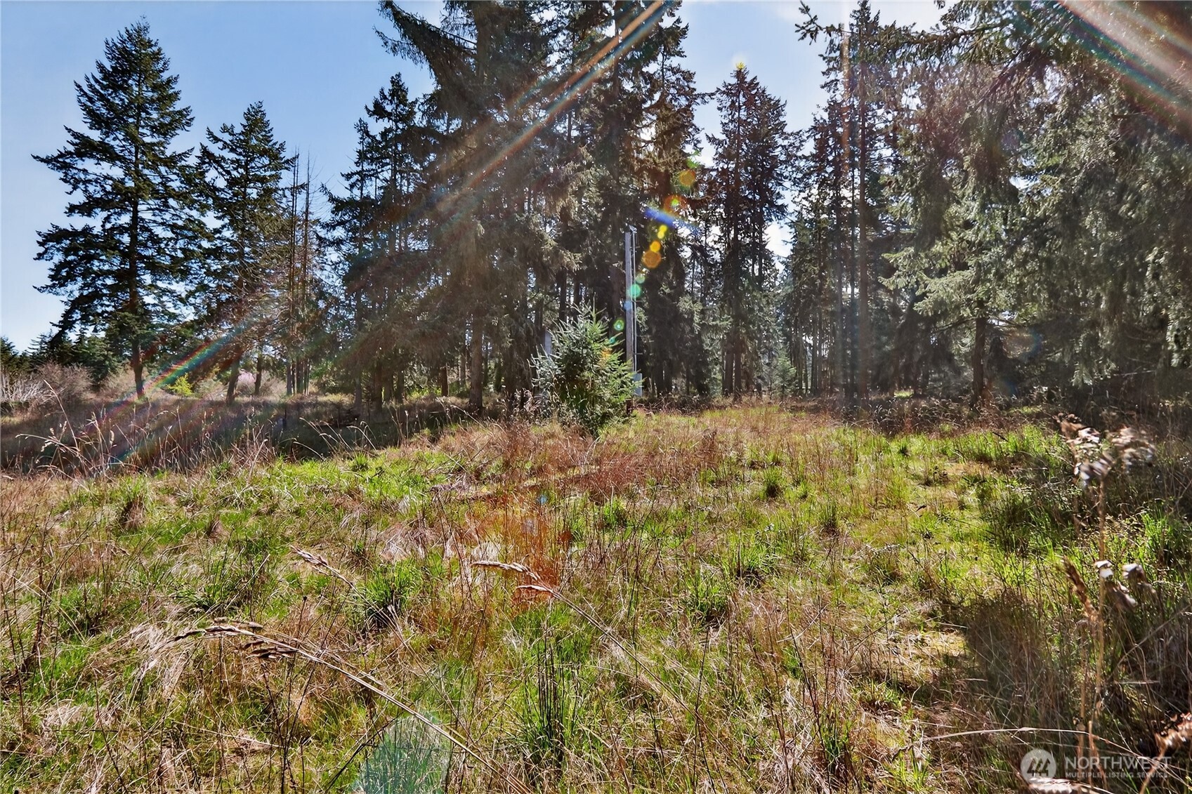 999 W Silberhorn , Sequim, WA 98382-7210