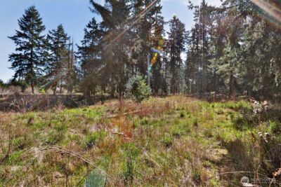 999 W Silberhorn , Sequim, WA 98382-7210 - Photo 18