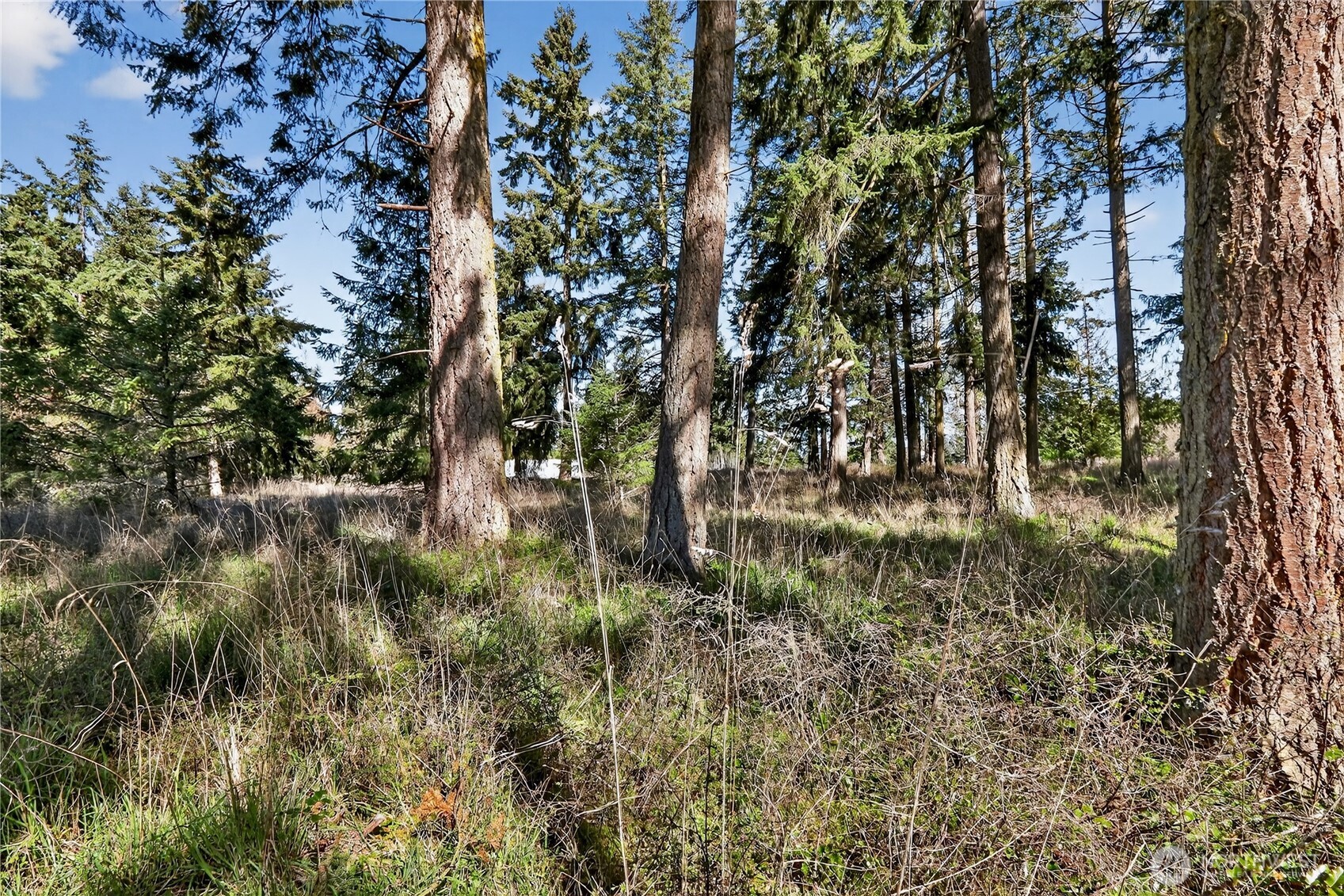 999 W Silberhorn , Sequim, WA 98382-7210