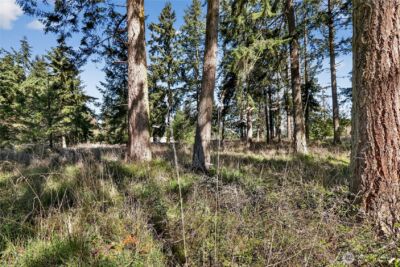 999 W Silberhorn , Sequim, WA 98382-7210 - Photo 20