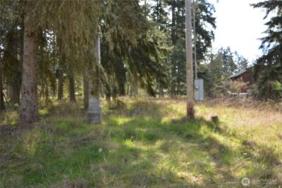 999 W Silberhorn , Sequim, WA 98382-7210 - Photo 4