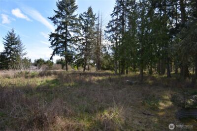 999 W Silberhorn , Sequim, WA 98382-7210 - Photo 6