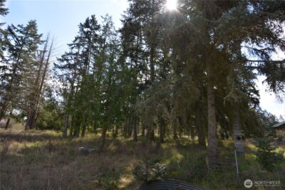 999 W Silberhorn , Sequim, WA 98382-7210 - Photo 7