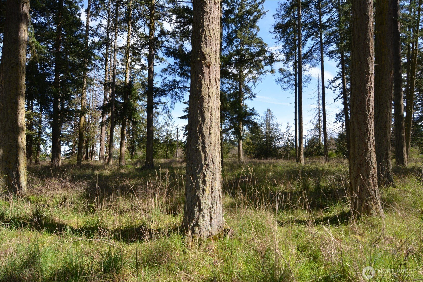 999 W Silberhorn , Sequim, WA 98382-7210