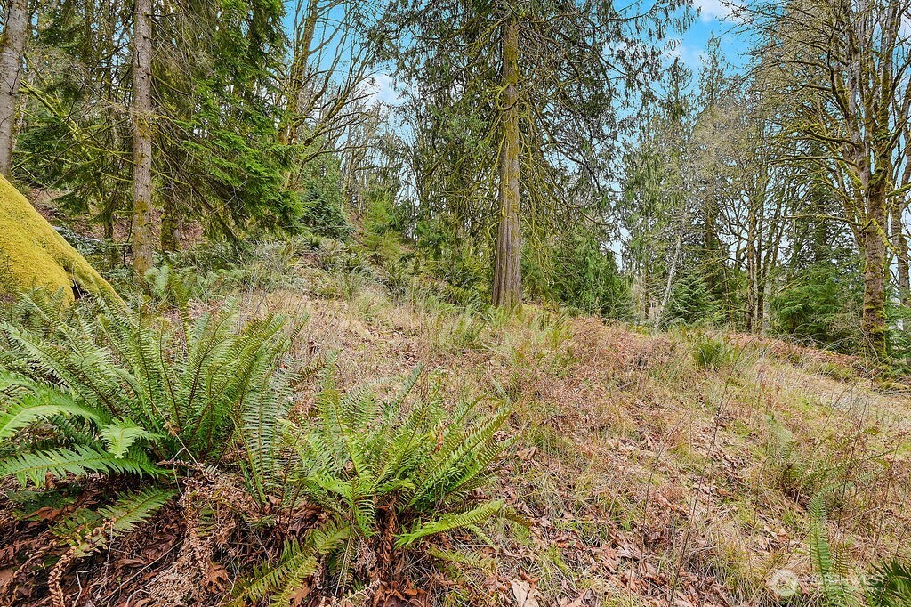 376 Beach Drive , Quilcene, WA 98376
