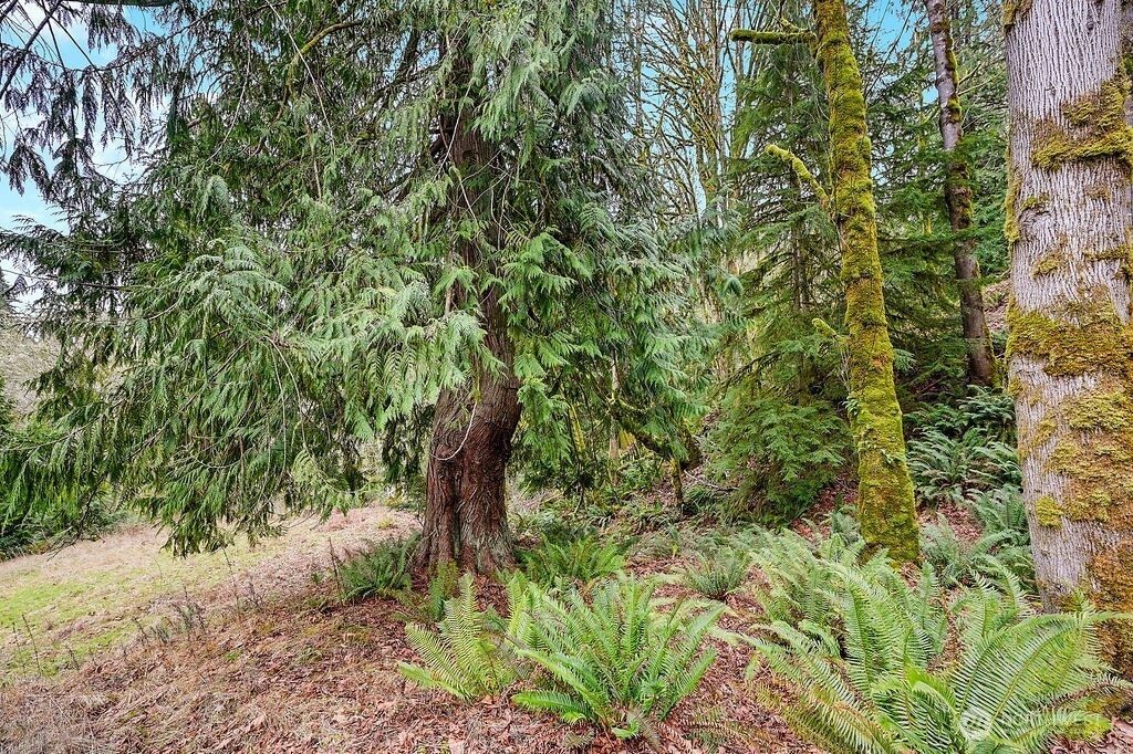 376 Beach Drive , Quilcene, WA 98376