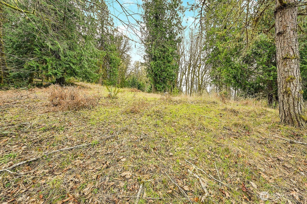 376 Beach Drive , Quilcene, WA 98376