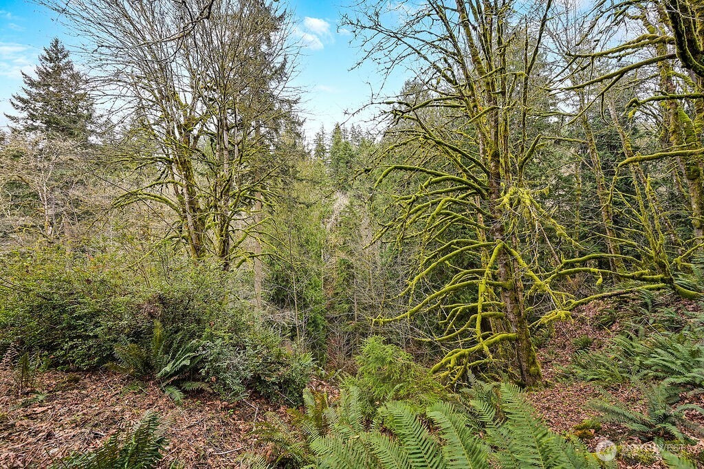 376 Beach Drive , Quilcene, WA 98376