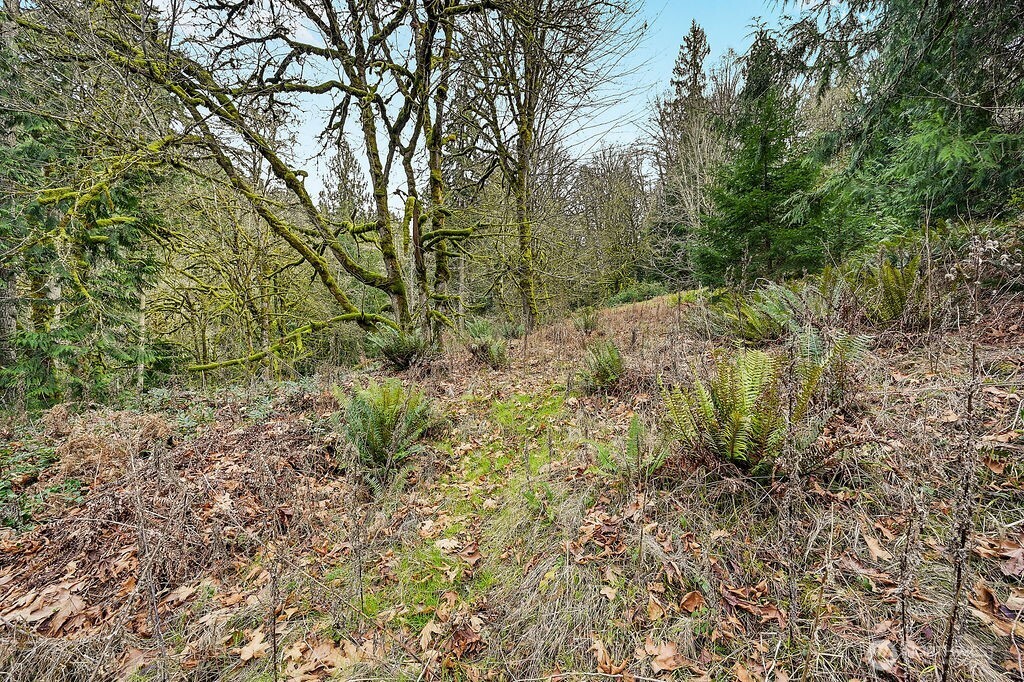 376 Beach Drive , Quilcene, WA 98376