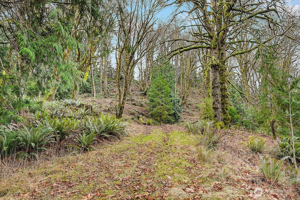 376 Beach Drive , Quilcene, WA 98376