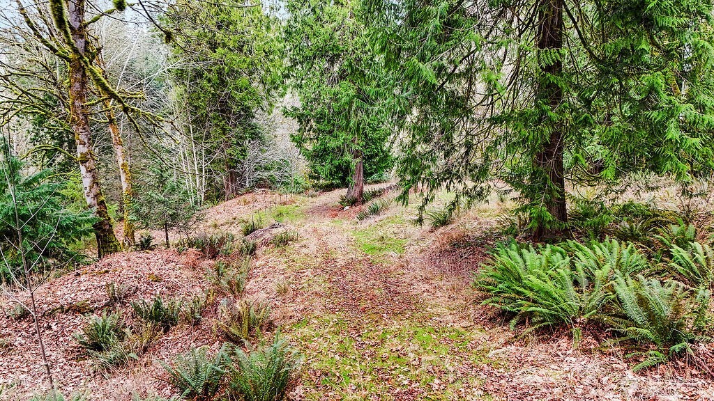 376 Beach Drive , Quilcene, WA 98376