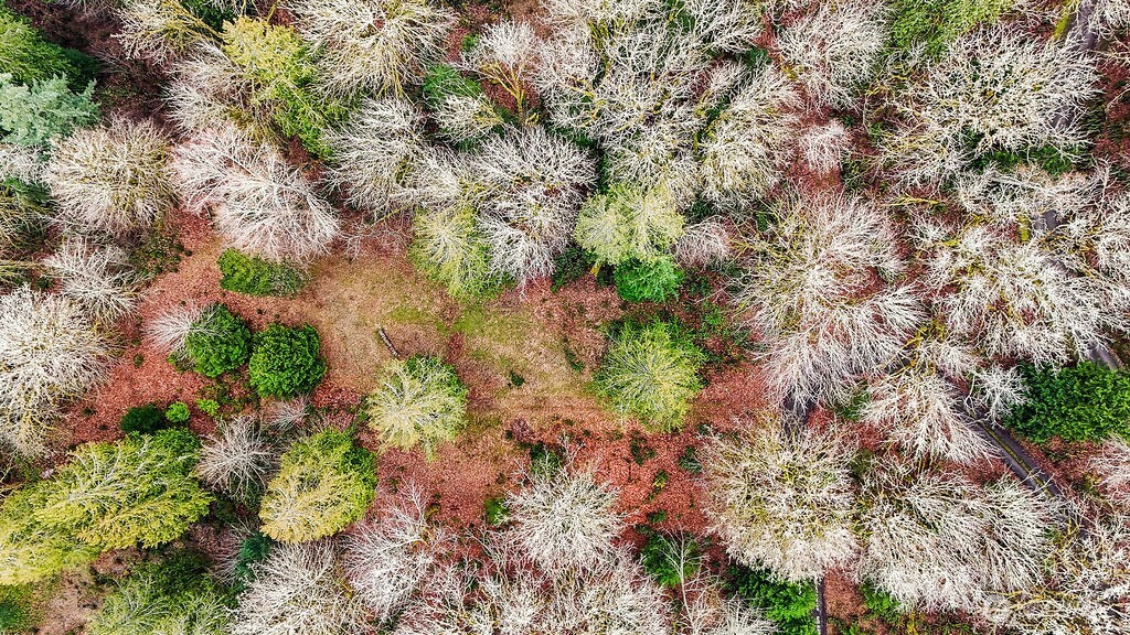 376 Beach Drive , Quilcene, WA 98376