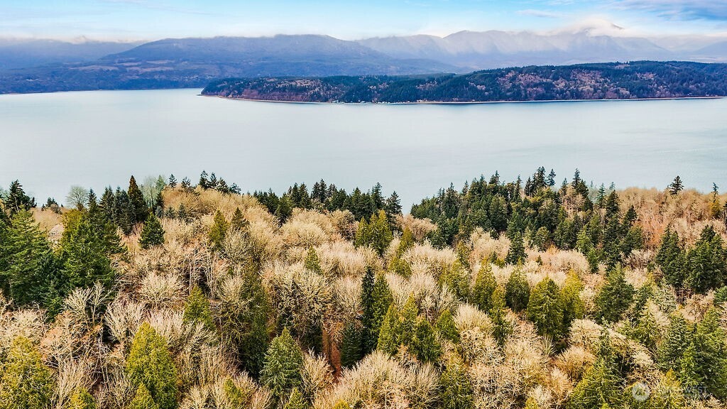 376 Beach Drive , Quilcene, WA 98376