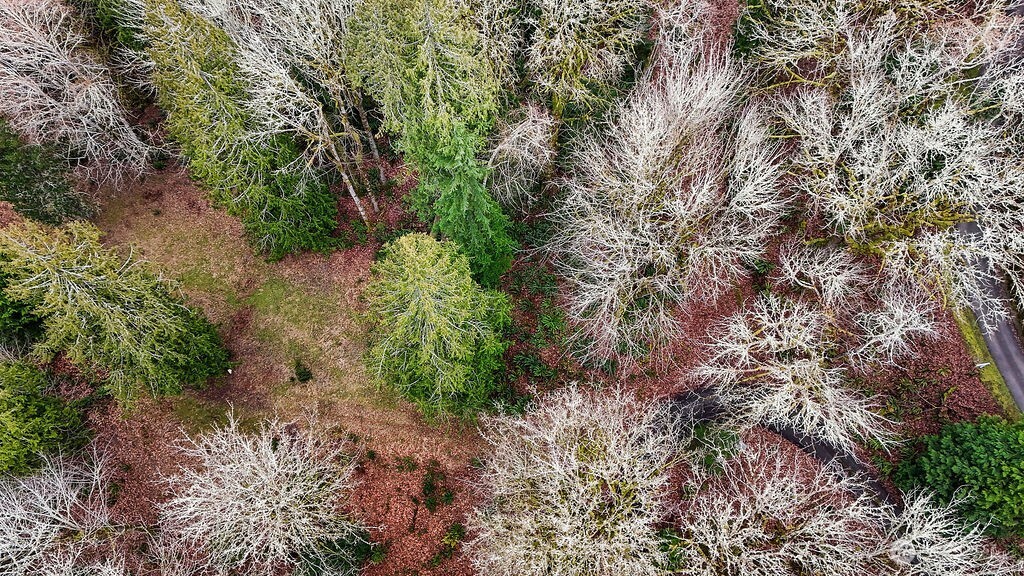 376 Beach Drive , Quilcene, WA 98376