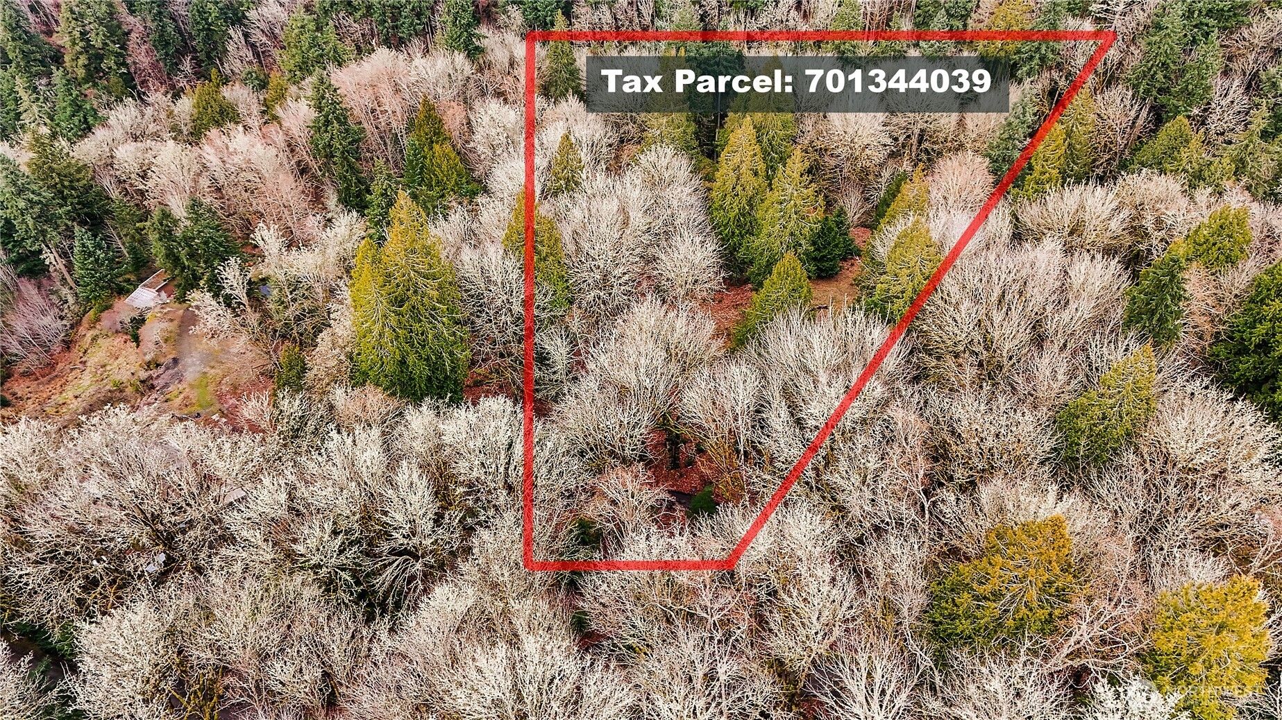 376 Beach Drive , Quilcene, WA 98376