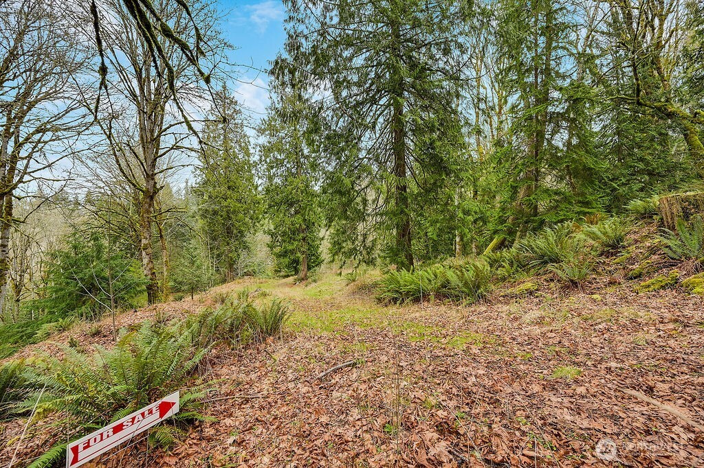 376 Beach Drive , Quilcene, WA 98376