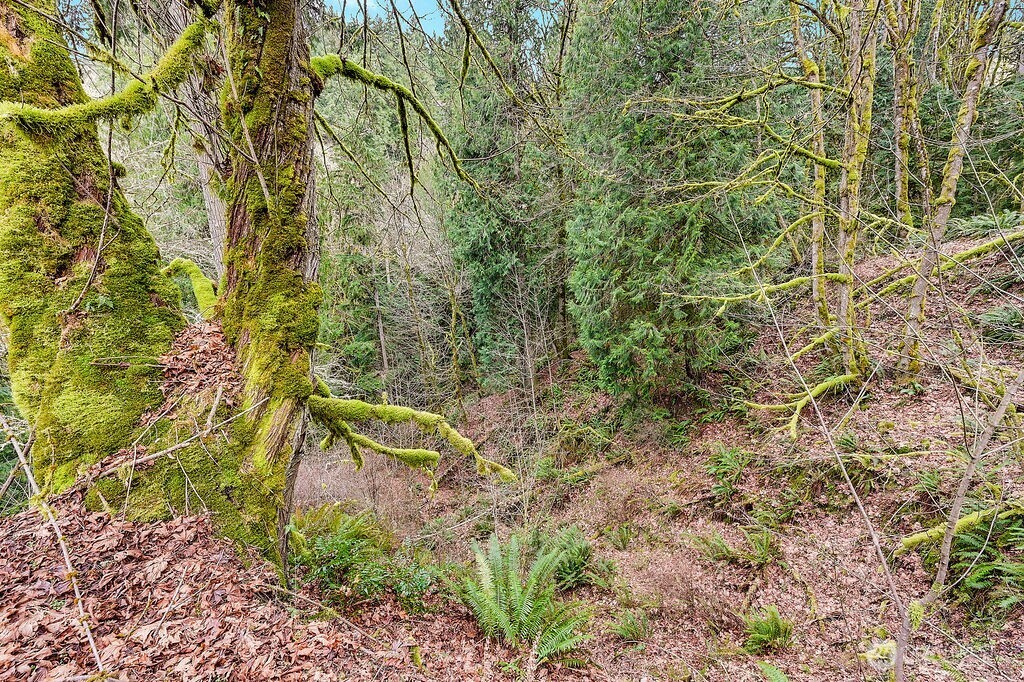 376 Beach Drive , Quilcene, WA 98376