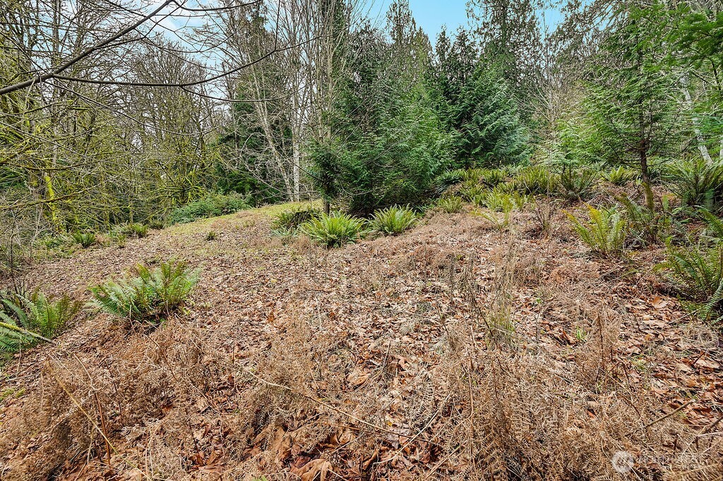 376 Beach Drive , Quilcene, WA 98376