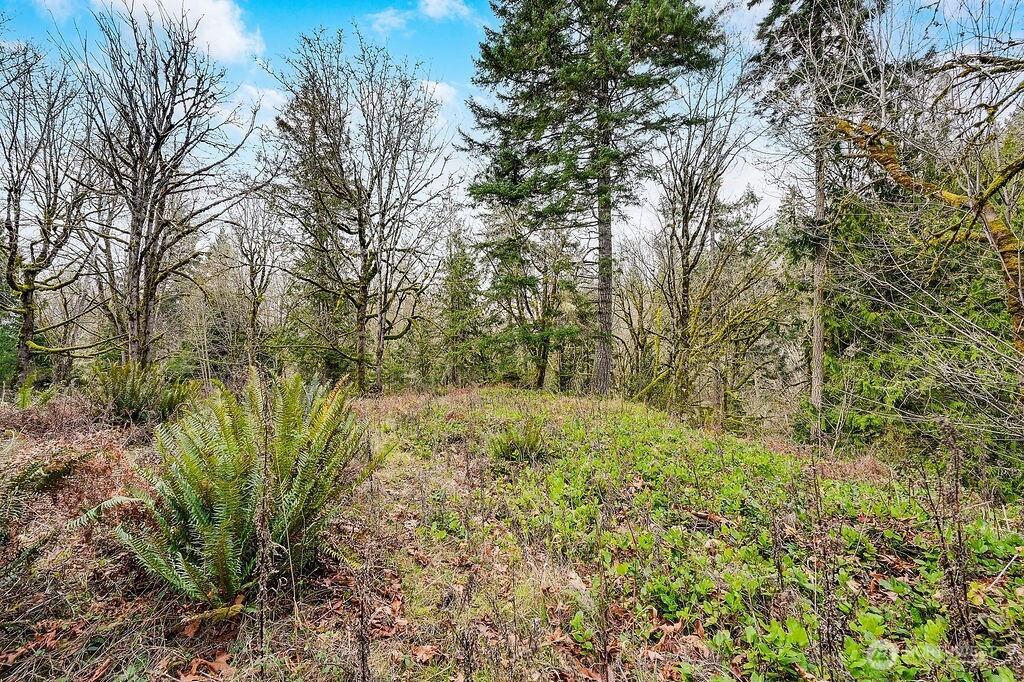 376 Beach Drive , Quilcene, WA 98376