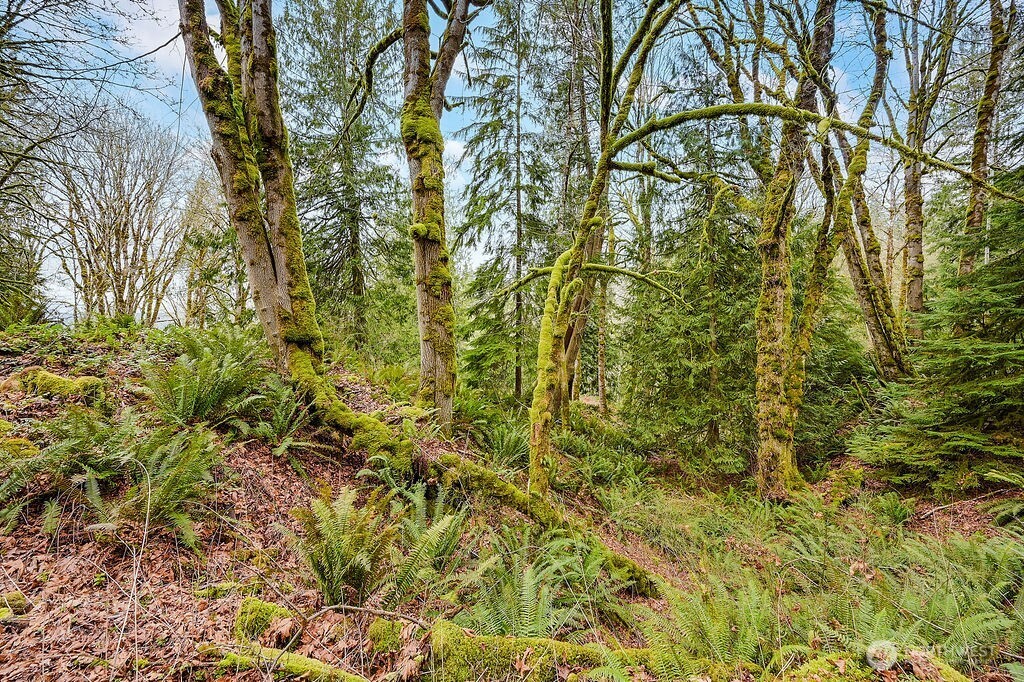 376 Beach Drive , Quilcene, WA 98376