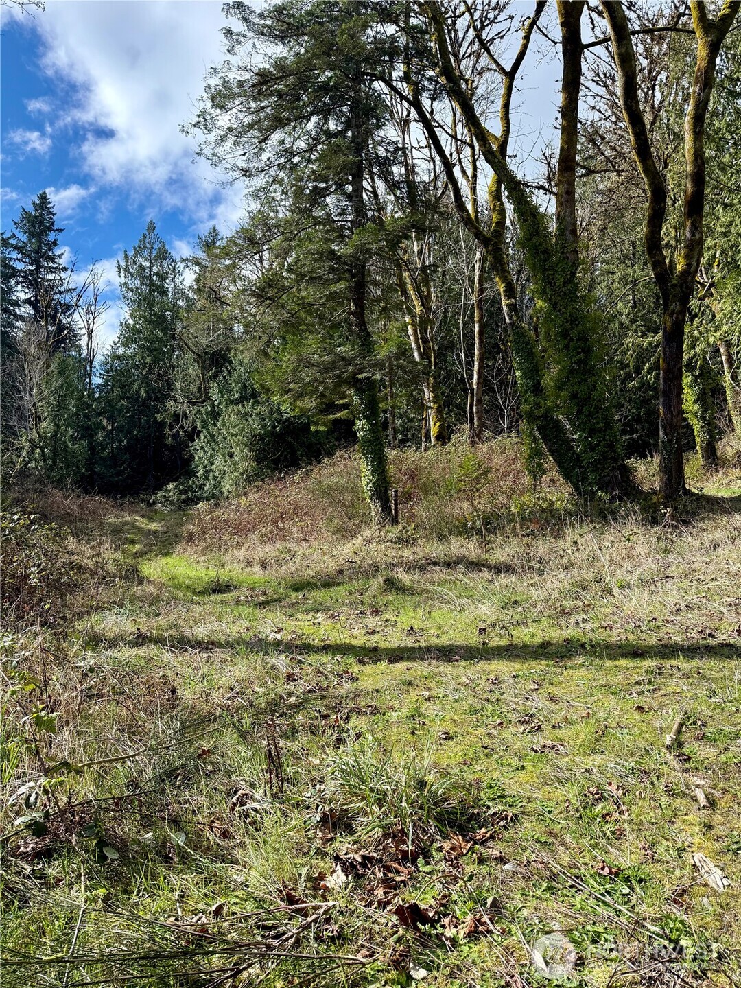 1080 Linger Longer Road , Quilcene, WA 98376