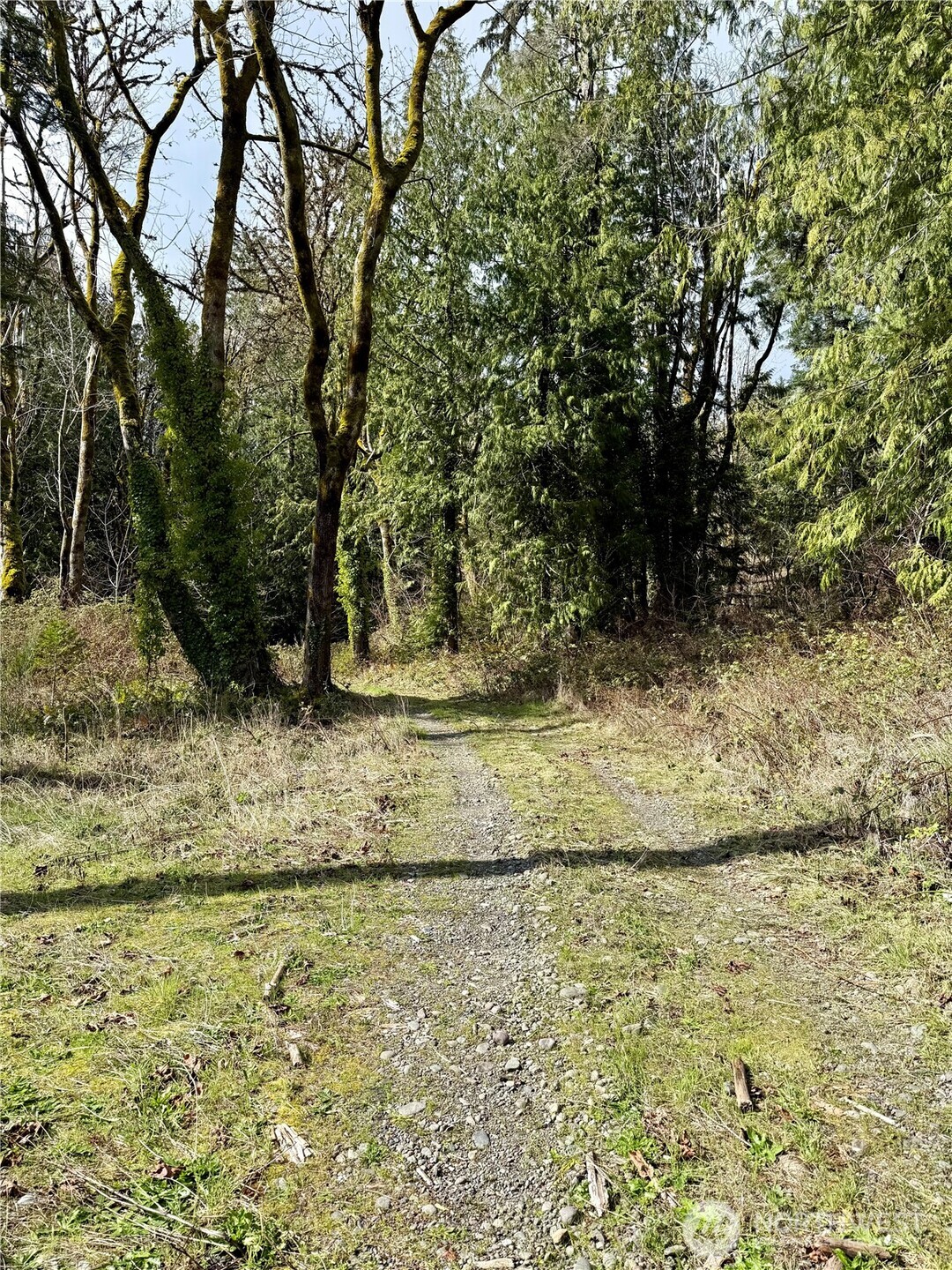 1080 Linger Longer Road , Quilcene, WA 98376