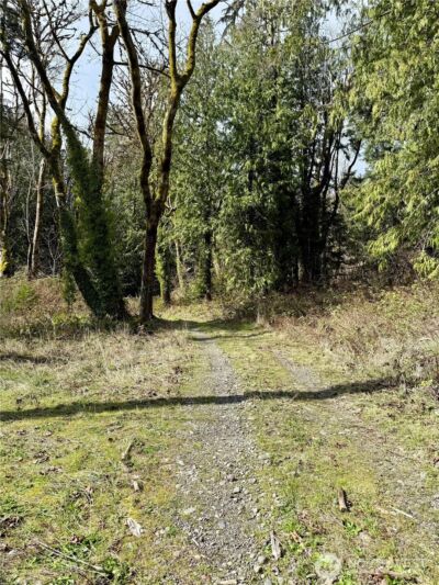 1080 Linger Longer Road , Quilcene, WA 98376 - Photo 12