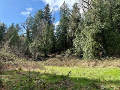 1080 Linger Longer Road , Quilcene, WA 98376 - Photo 16