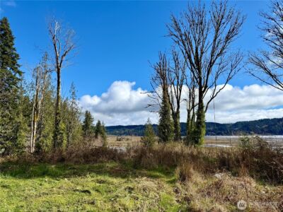 1080 Linger Longer Road , Quilcene, WA 98376 - Photo 18