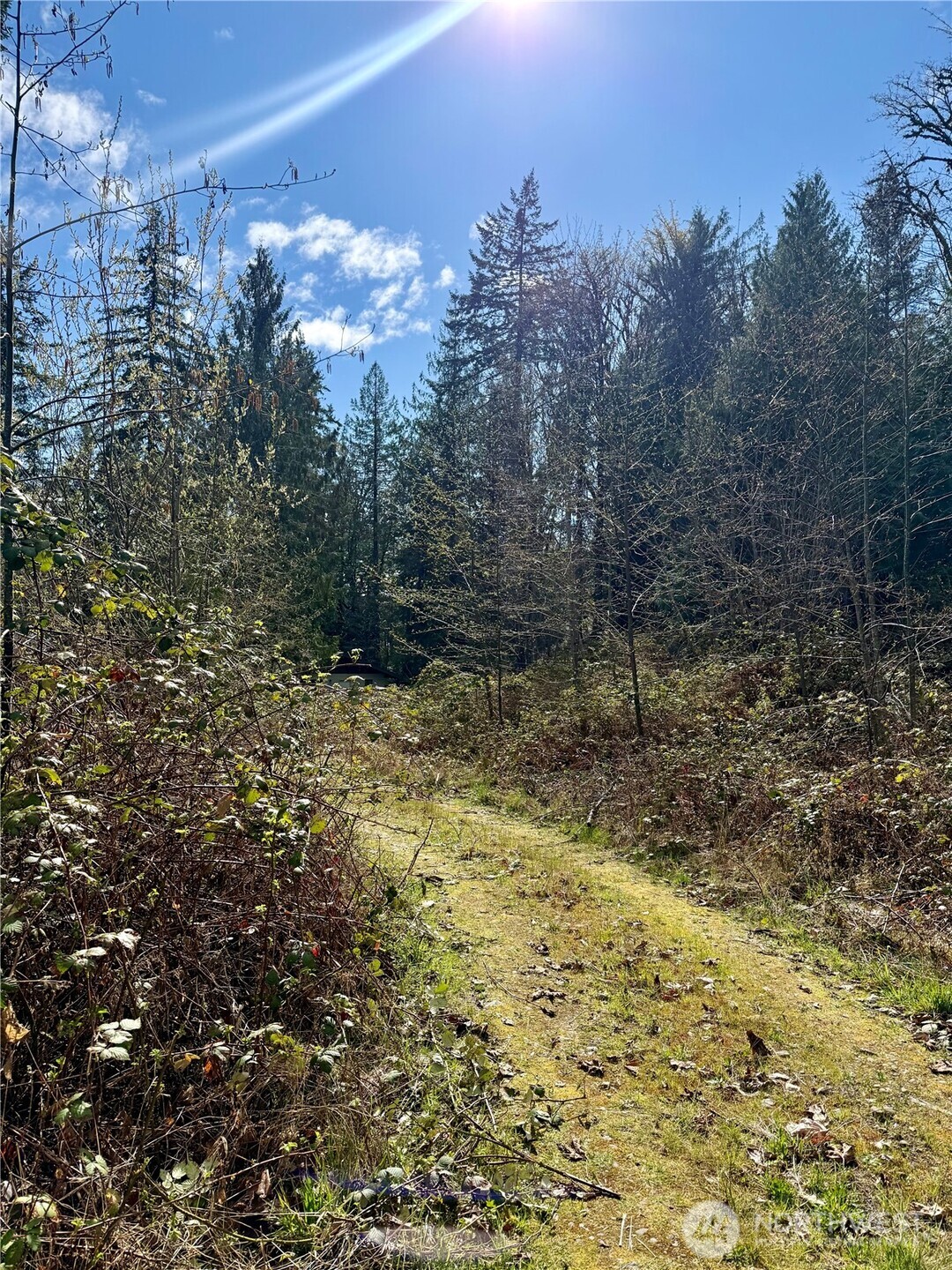 1080 Linger Longer Road , Quilcene, WA 98376