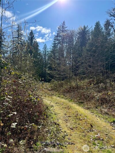 1080 Linger Longer Road , Quilcene, WA 98376 - Photo 19
