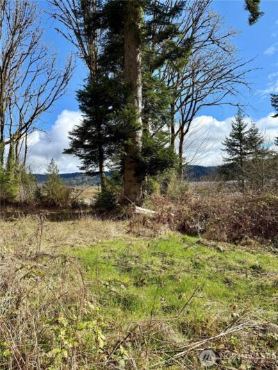 1080 Linger Longer Road , Quilcene, WA 98376 - Photo 20